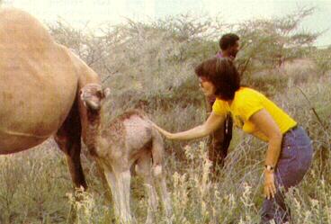 Ronstadt on safari in Kenya